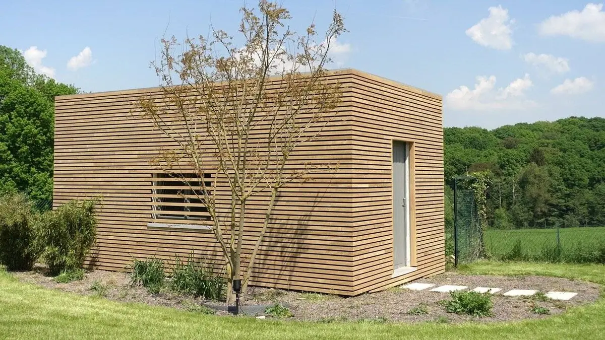 Une brique dans le ventre