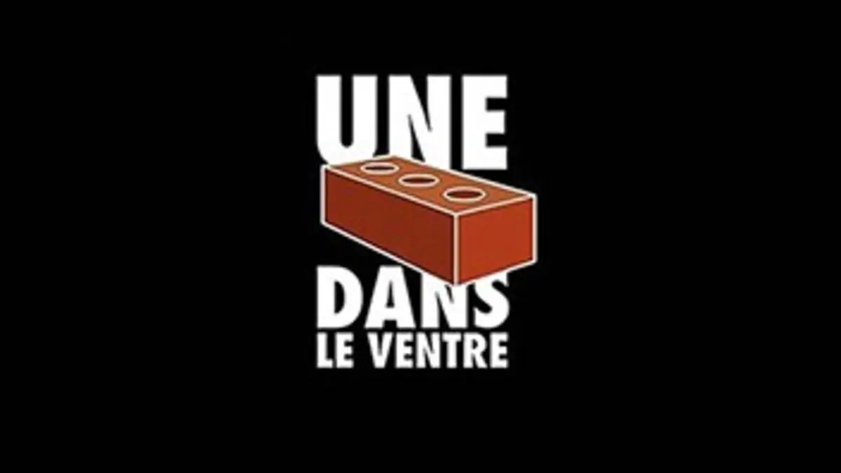 Une brique dans le ventre