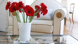 Une brique dans le ventre