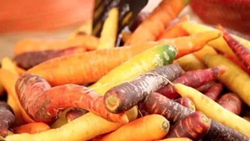 Une carotte presque parfaite