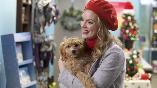 Une demande en mariage pour Noël