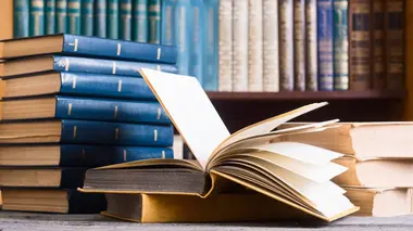 Dans la toile de la vie