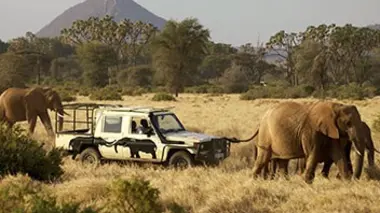 La nature reprend ses droits