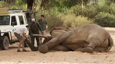 L'arrivée des hôtes