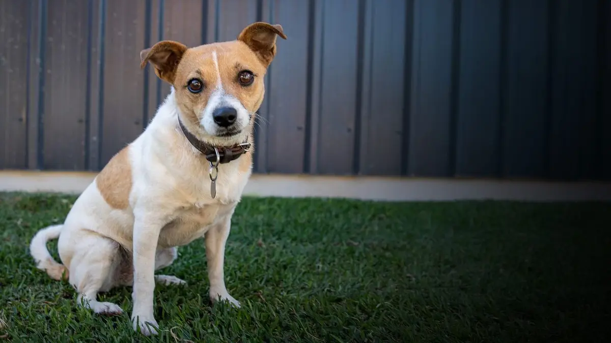 Une famille pour la vie L'amour d'une mère