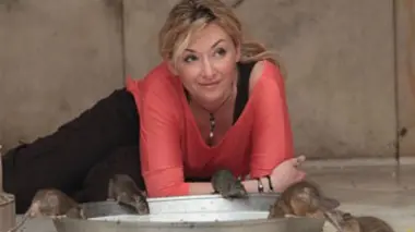 Inde, temple des rats