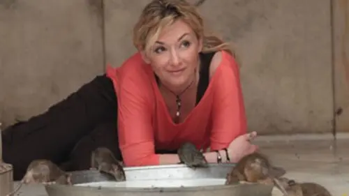 Une femme aux antipodes S03E01 Inde, temple des rats