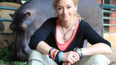 Afrique du Sud, un amour d'hippopotame