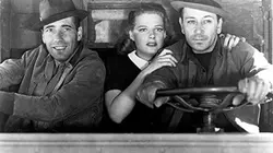 Visuel de Une femme dangereuse