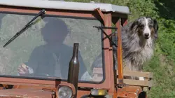 Une ferme sauvage
