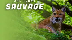 Une ferme sauvage