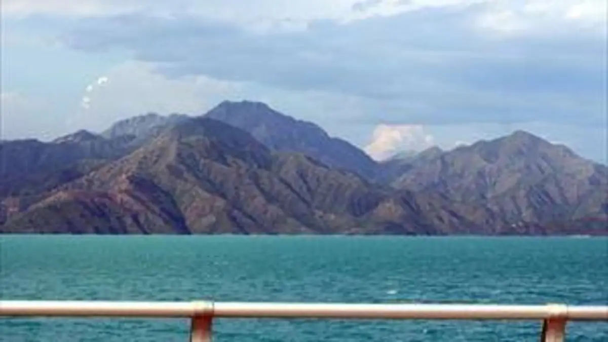 Une fleur dans l'Océan Indien