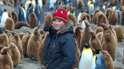 Visuel de Une fleur dans le Grand Sud