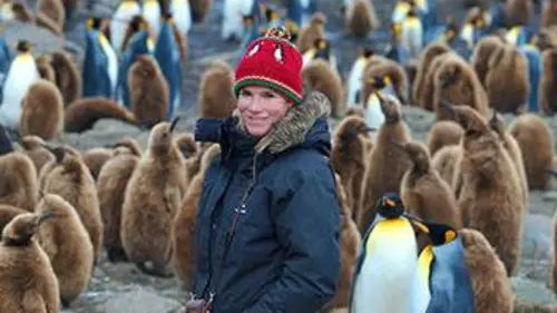 Une fleur dans le Grand Sud