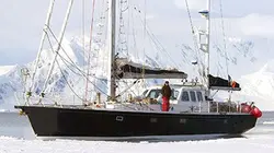 Visuel de Une fleur en Antarctique