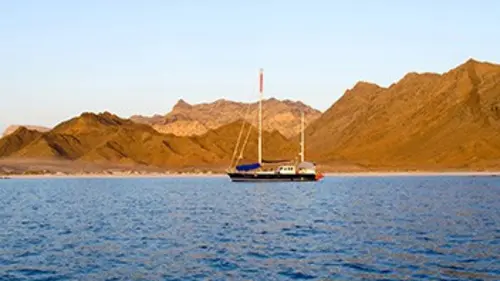 Une Fleur en mer Rouge E02