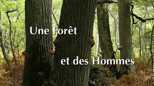Une forêt et des hommes