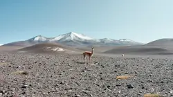 Visuel de Une goutte d'eau sur un volcan