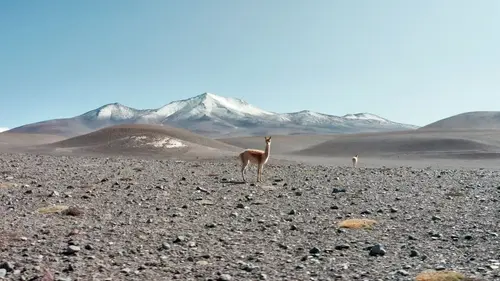 Une goutte d'eau sur un volcan