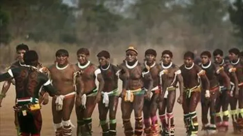 Une histoire amazonienne