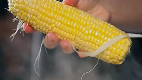 Une histoire d'appétit E06 Le pouvoir des céréales