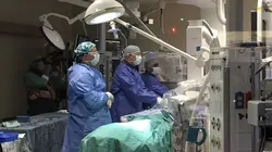 Une histoire de coeurs