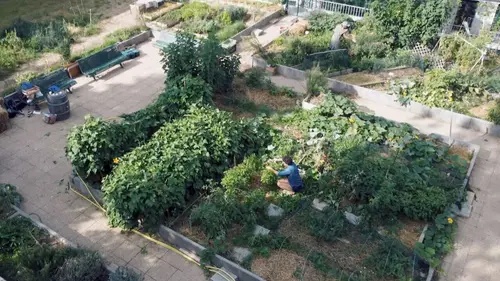 Une histoire des jardins ouvriers