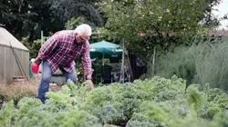 Une histoire des jardins ouvriers