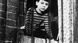 Visuel de Une incroyable histoire