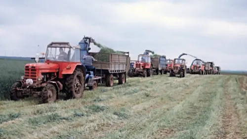 Une info, deux opinions Mondialisation de l'agriculture : problème ou solution ?