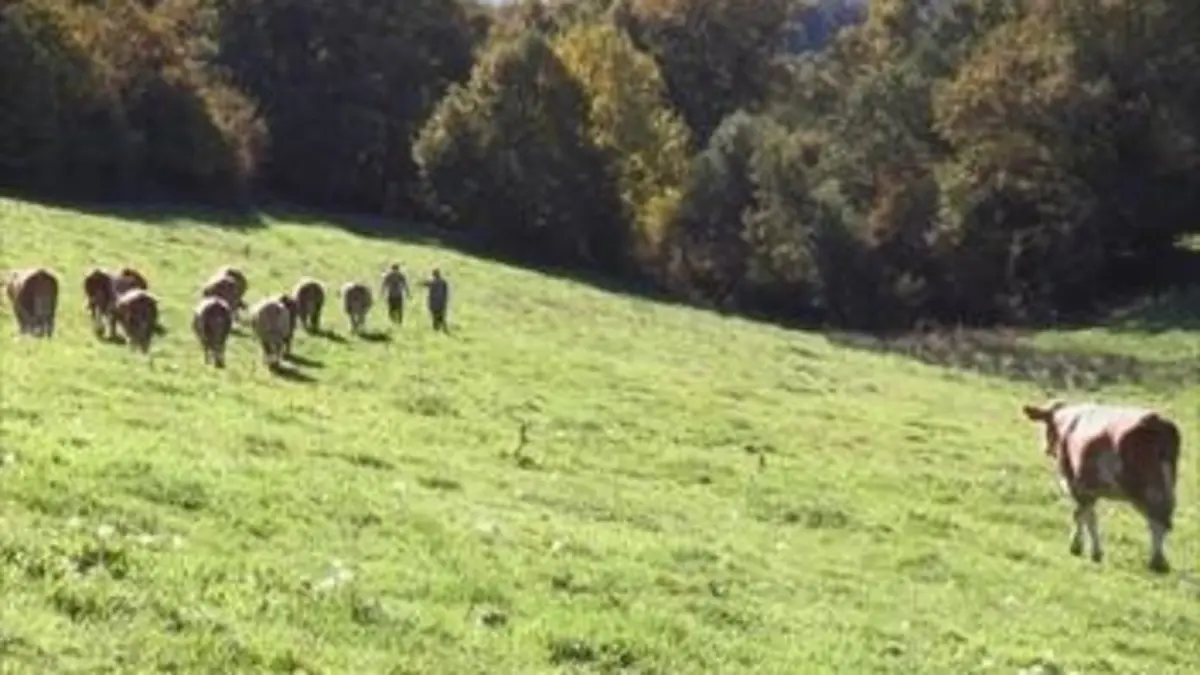 Une jeunesse en Aveyron