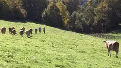 Sur Ushuaïa TV à 20h40 : Une jeunesse en Aveyron