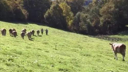 Une jeunesse en Aveyron