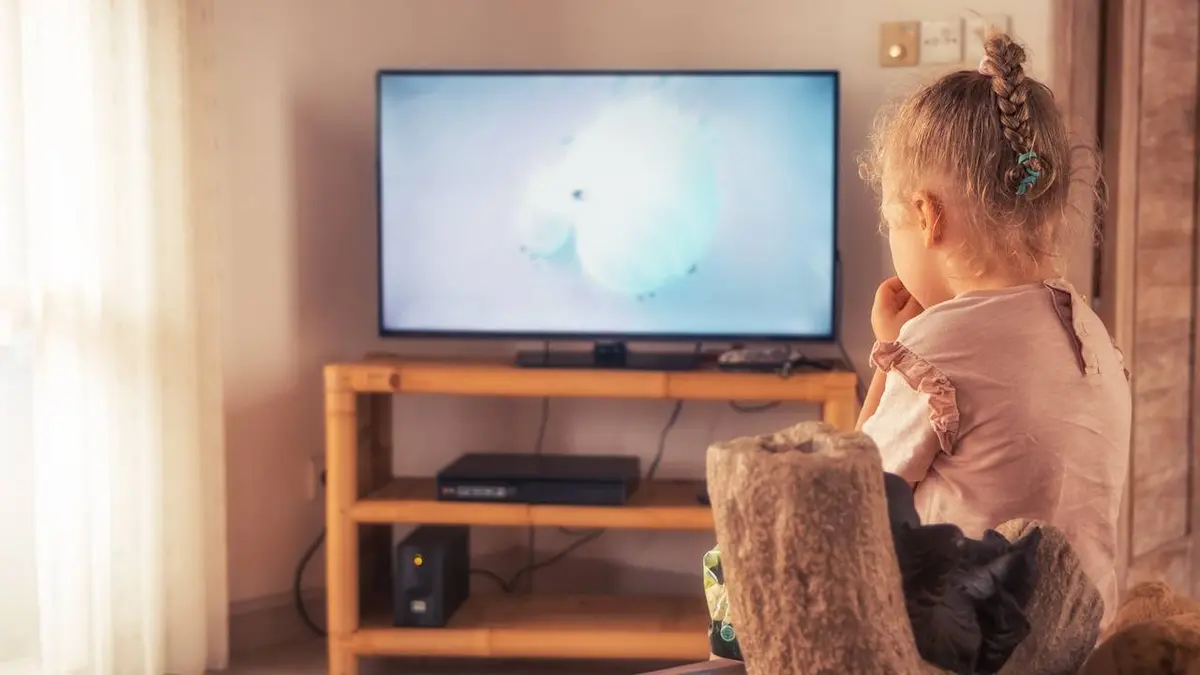 Miraculous : Une journée à Paris S01E03 Grosse journée