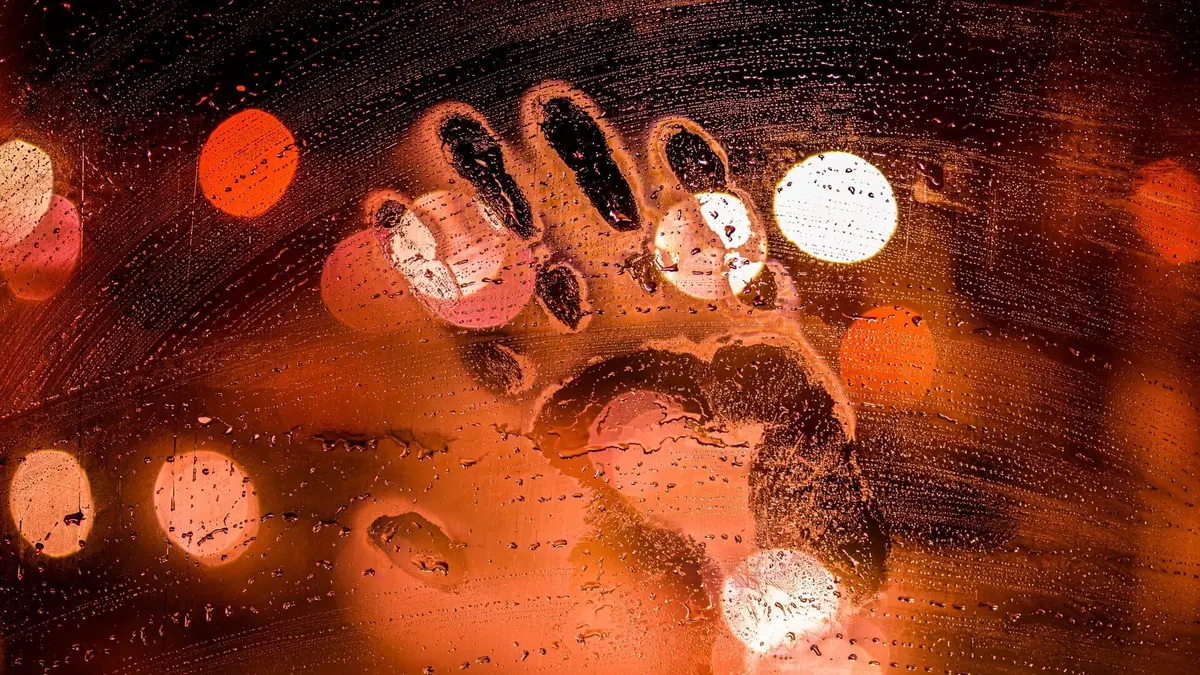 Visuel de Une lune de miel mortelle