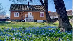 Sur France 5 à 22h45 : Une maison, un artiste