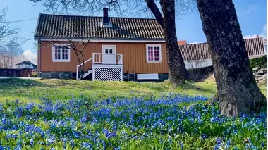 Une maison, un artiste