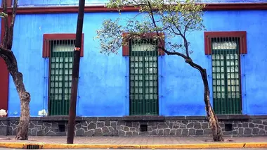 Frida Kahlo, dans sa maison bleue