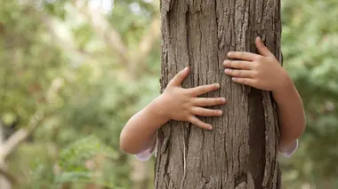 Des enfants et des arbres