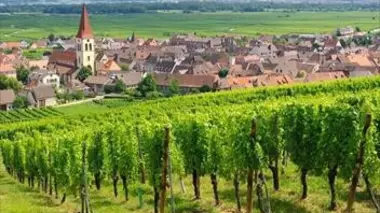 Une minute, un vignoble
