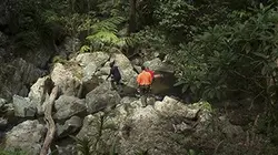 Visuel de Une nature envahissante