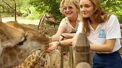 Visuel de Une nounou en voyage : Mission Ile Maurice