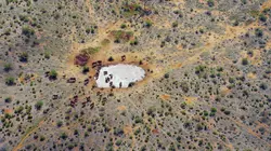Une oasis sauvage au Kenya : Le temps de l'abondance