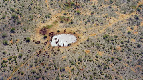 Casting Une oasis sauvage au Kenya : Le temps de l'abondance