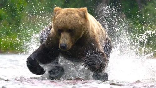 Une planète en partage Dans les royaumes de l'eau