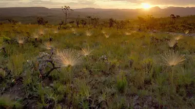 Au coeur des grands espaces