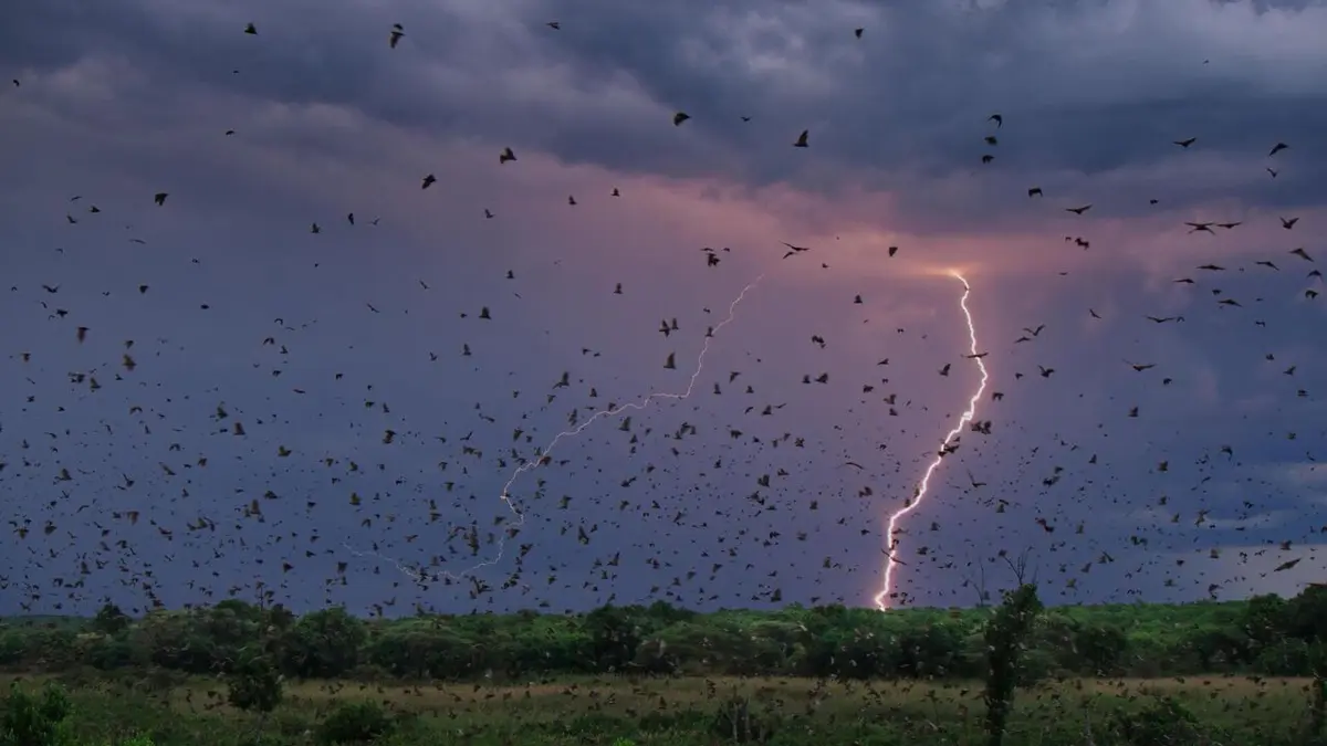 Une planète parfaite Du ciel aux océans