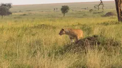 Une planète parfaite