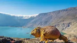 Une planète parfaite Du soleil aux volcans