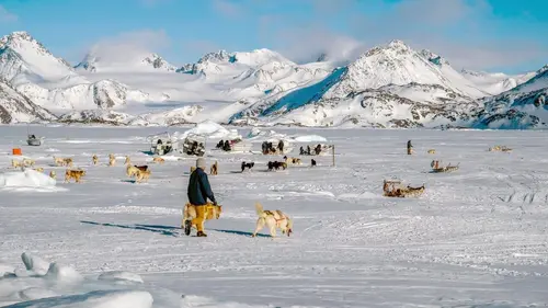 Une planète vivante Les défis des terres glacées